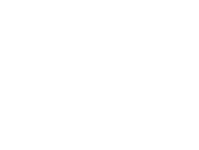 JoymaxTR - Silkroad Private Server Tanıtımları