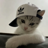 mkhaleddd